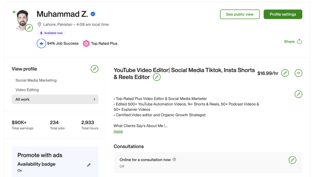 Top rated Plus freelancer